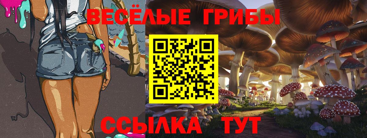 Ногинск  Галлюциногенные грибы GOLDEN TEACHER  Вход с VPN  Галлюциногенные грибы ЛСД 
